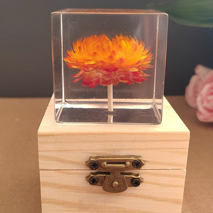 Flower Cube Nightlight Set