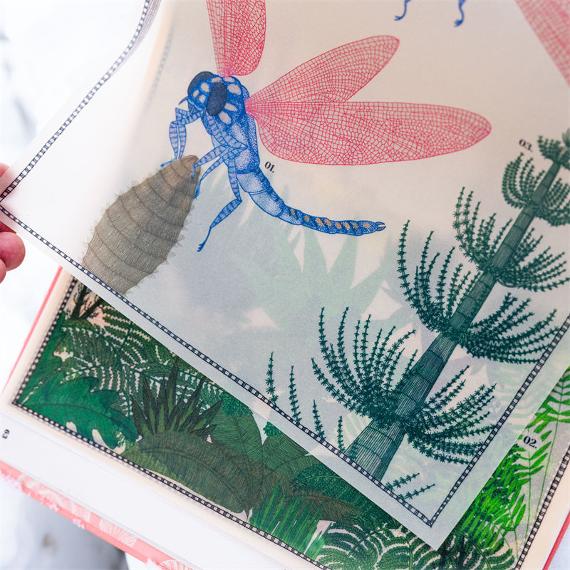 地球上遗失的风景