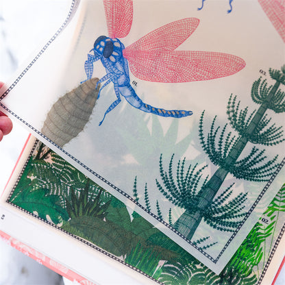 地球上遗失的风景