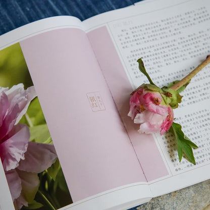 中国传统色：色彩通识100讲