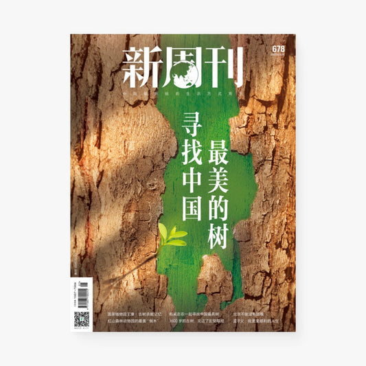 新周刊杂志678期：寻找中国最美的树