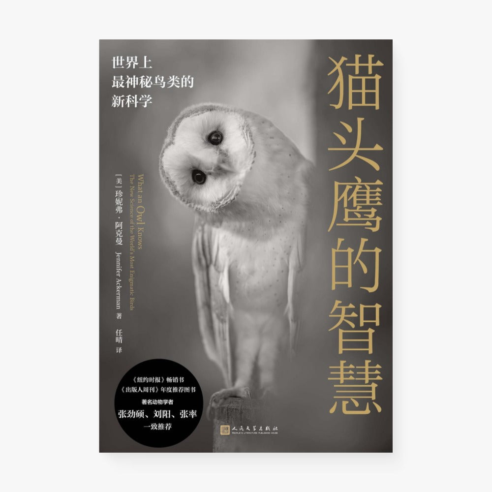 猫头鹰的智慧 : 世界上最神秘鸟类的新科学