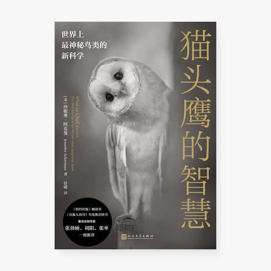 猫头鹰的智慧 : 世界上最神秘鸟类的新科学