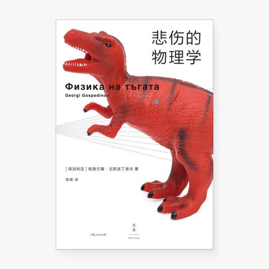 悲伤的物理学