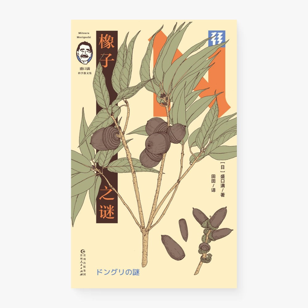 橡子之谜