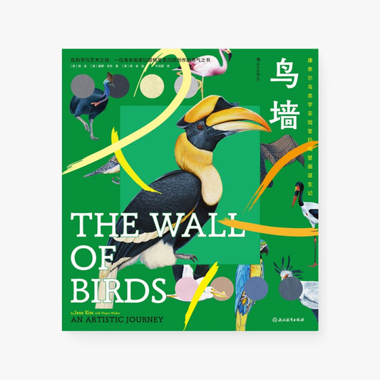 鸟墙