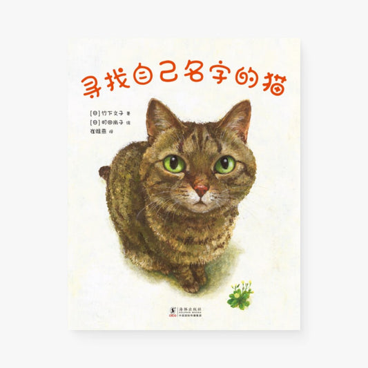 寻找自己名字的猫