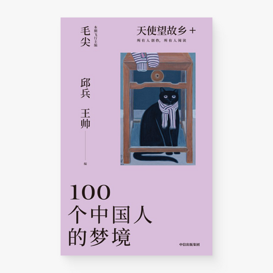 天使望故乡+ MOOK 试刊号 | 100个中国人的梦境