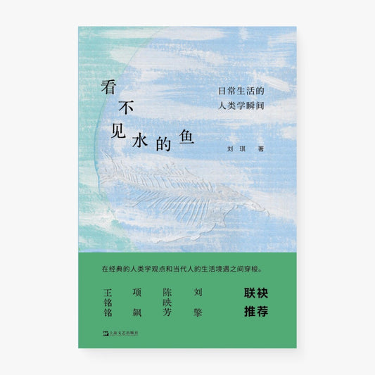 看不见水的鱼：日常生活的人类学瞬间