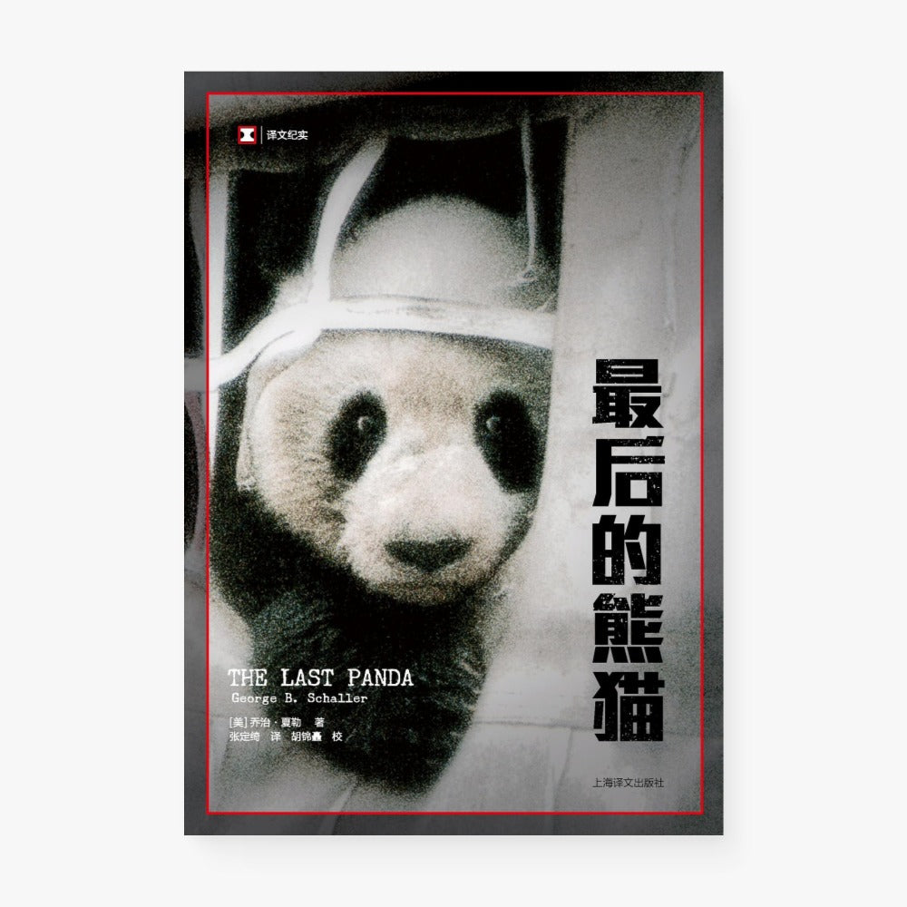 最后的熊猫