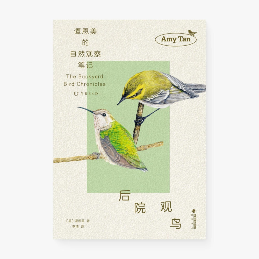 后院观鸟