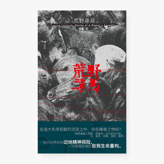 荒野寻马