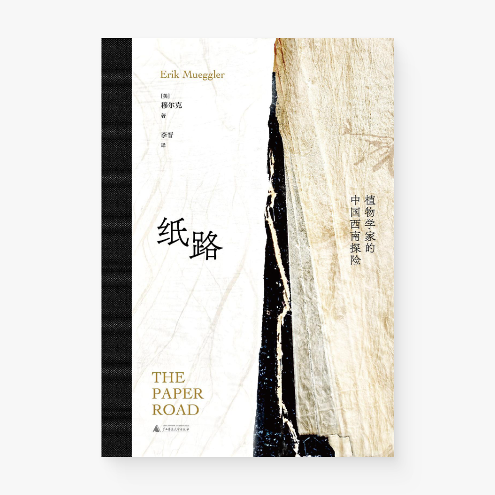 纸路