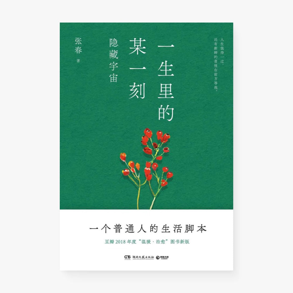 一生里的某一刻·隐藏宇宙