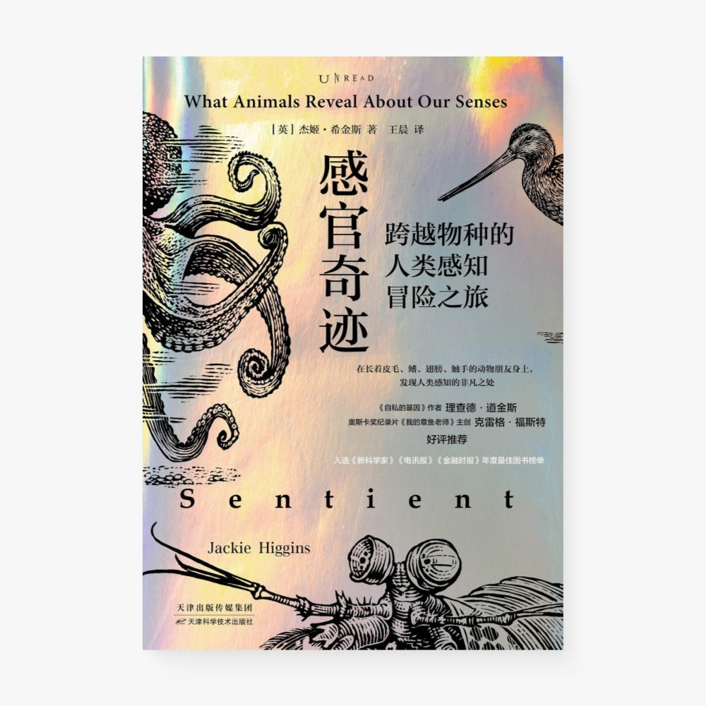 感官奇迹