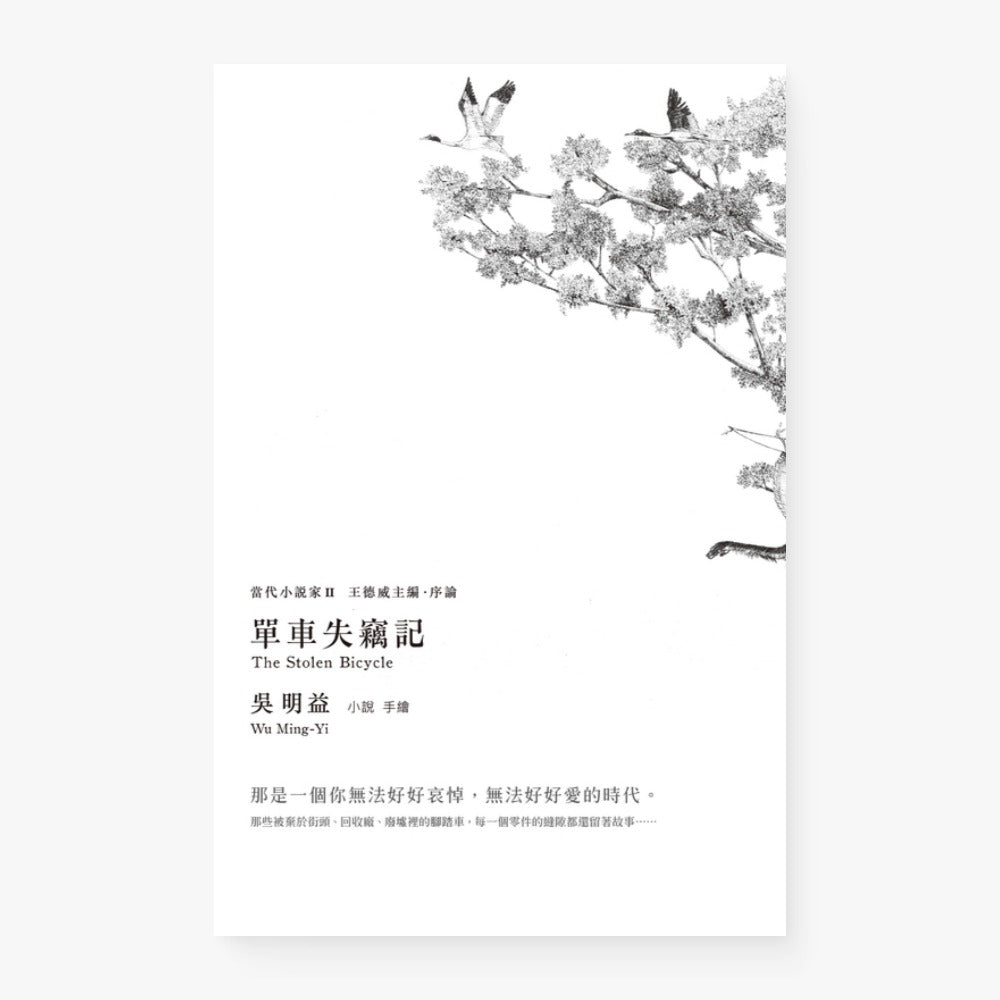 單車失竊記(新增王德威推薦序)