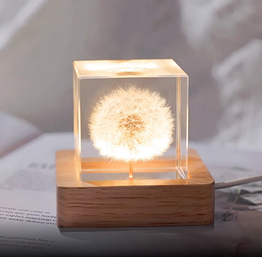 Flower Cube Nightlight Set