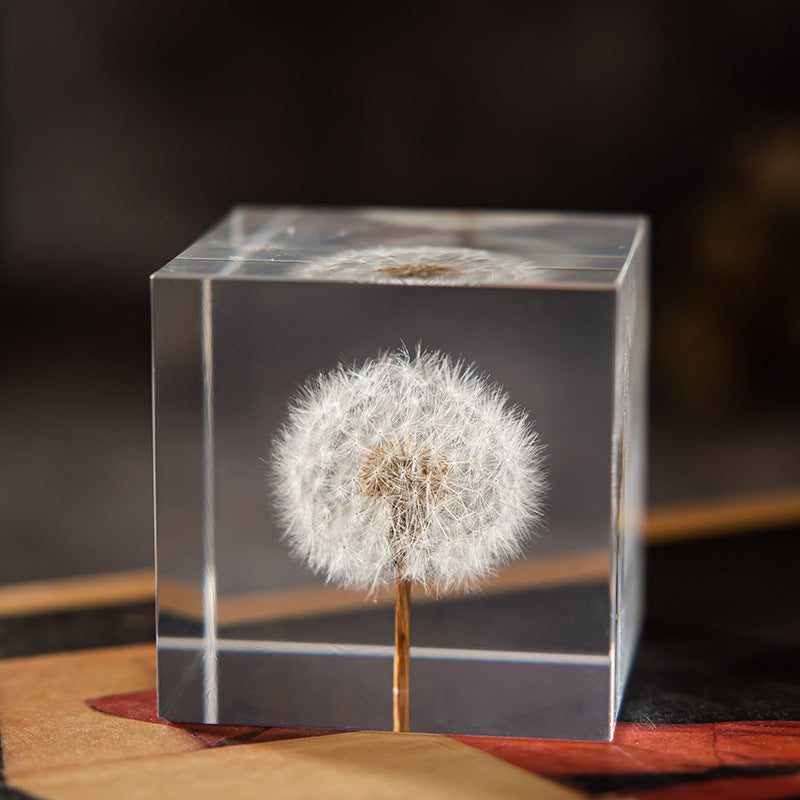 Flower Cube Nightlight Set