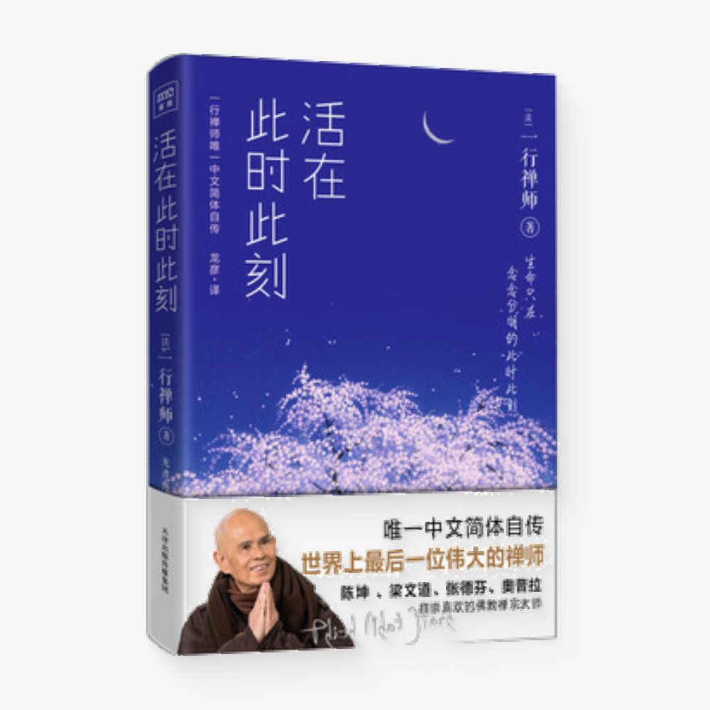 活在此时此刻 : 一行禅师修行手记