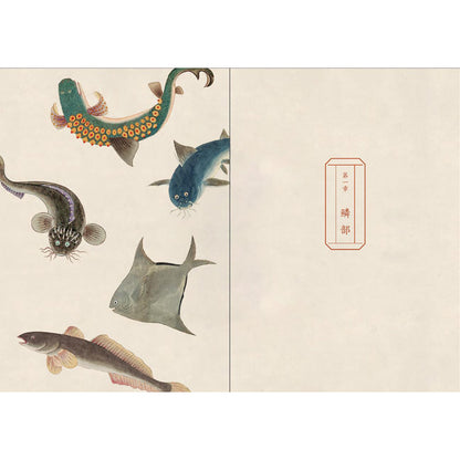 海错图笔记·肆