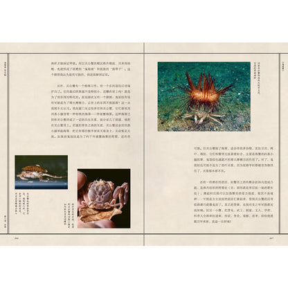 海错图笔记·肆