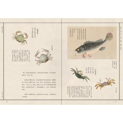 海错图笔记·肆