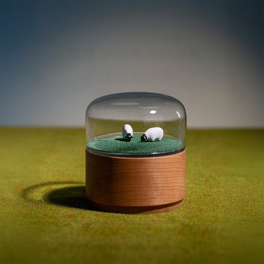 Magnetic Music Box (Meadow)