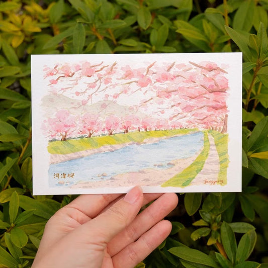 Japan Scenery Watercolor Postcard (Cherry Blossom)