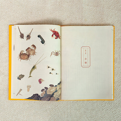 海错图笔记·肆