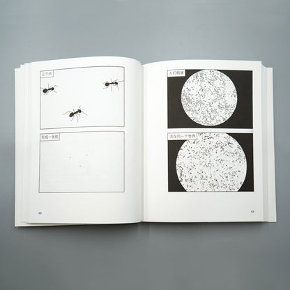 蛋梦见自己是块石头