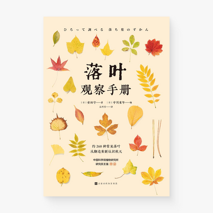 落叶观察手册