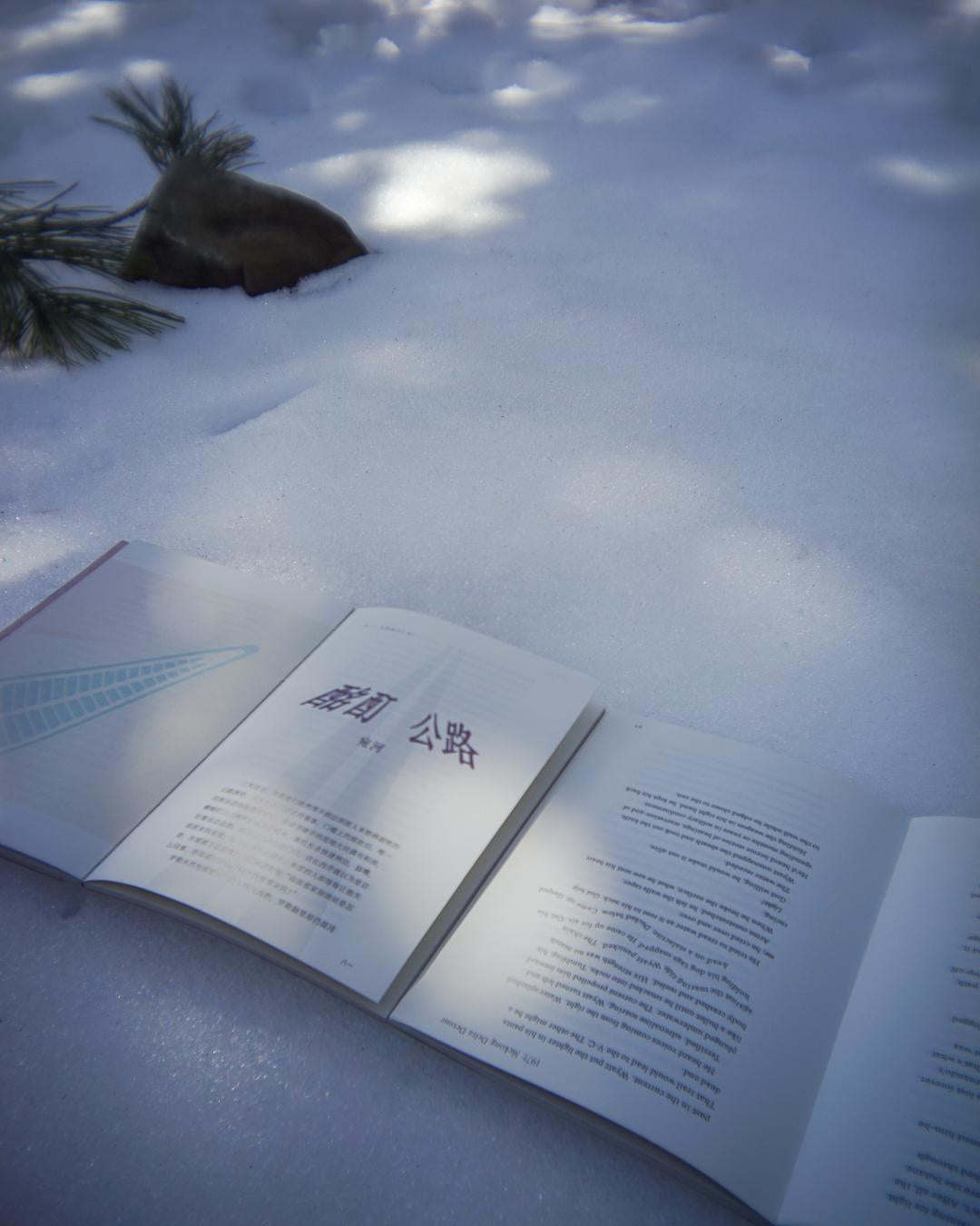 《雨燕》第2期：共生，Symbiosis