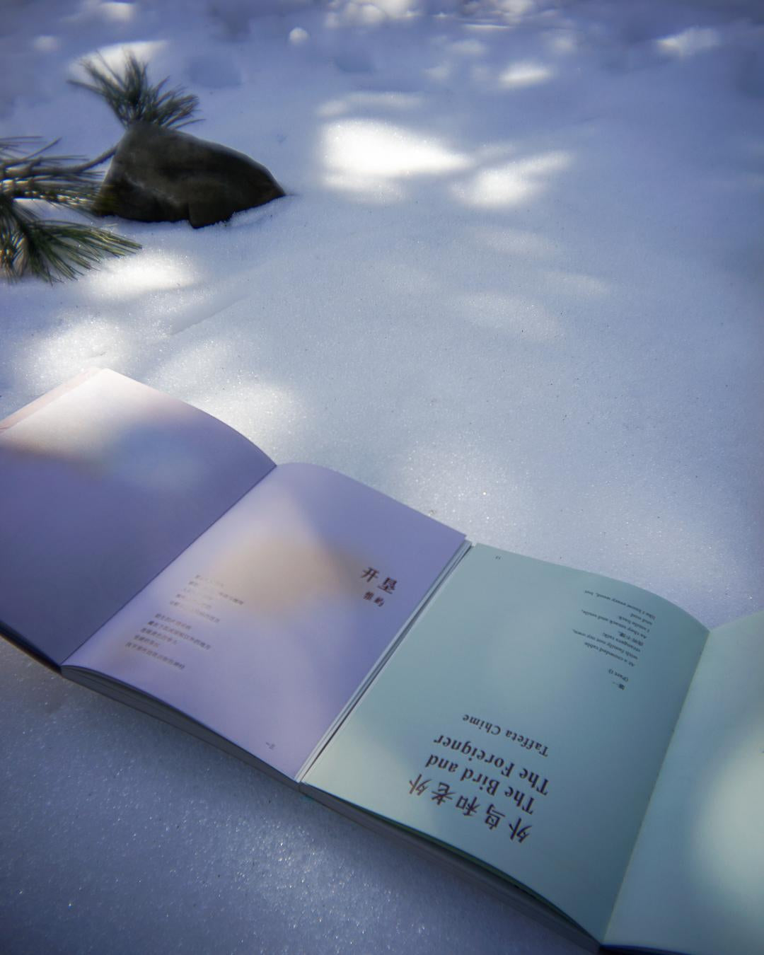 《雨燕》第2期：共生，Symbiosis