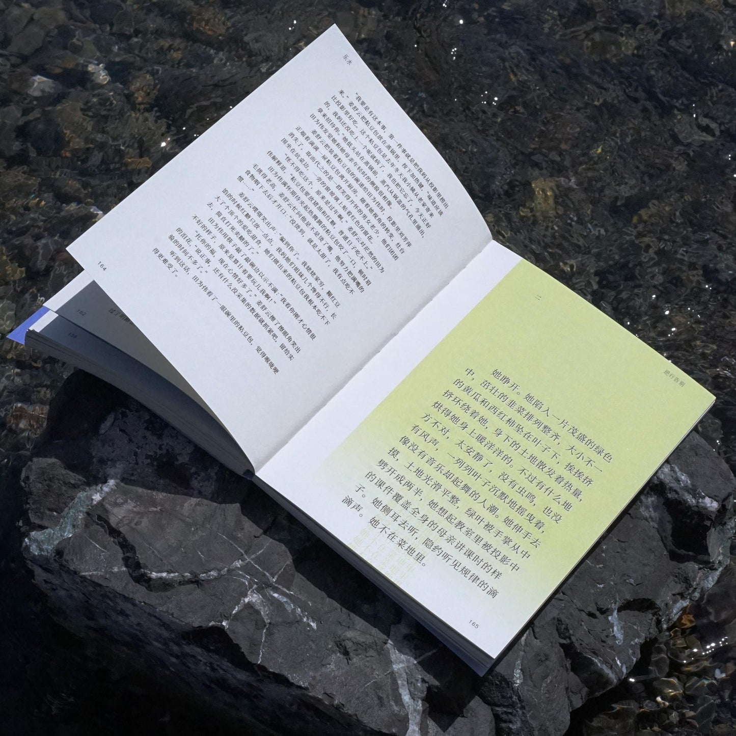 《雨燕》第1期：时间, Time