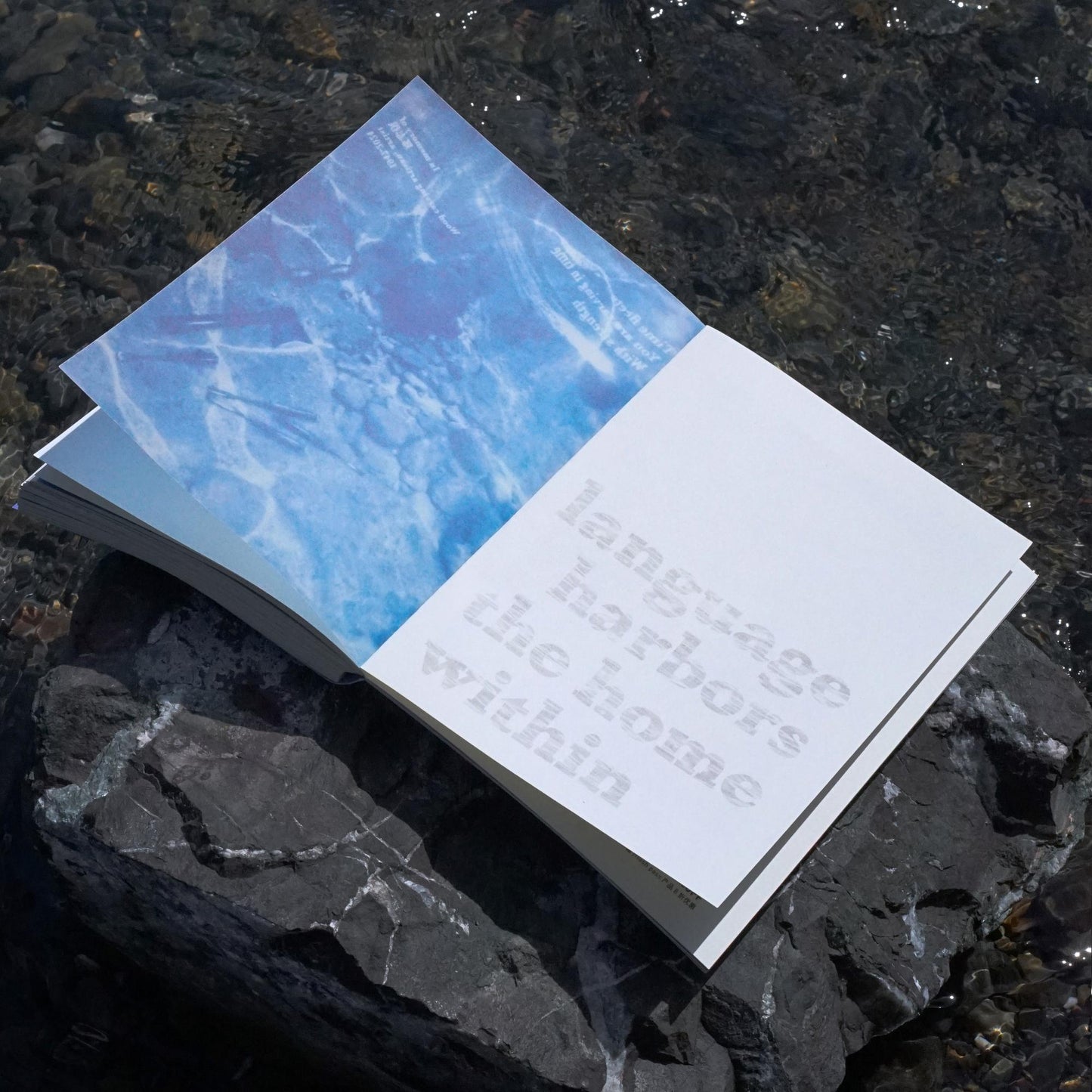 《雨燕》第1期：时间, Time