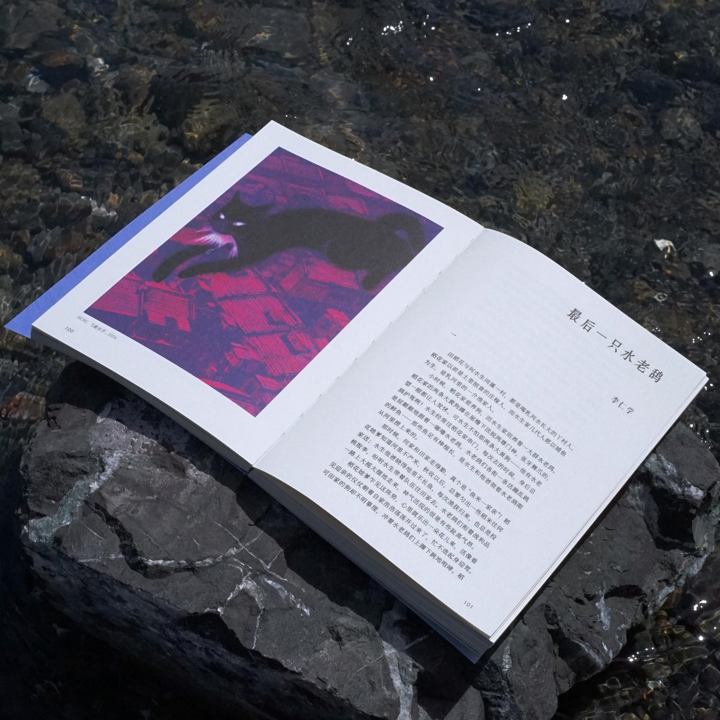 《雨燕》第1期：时间, Time